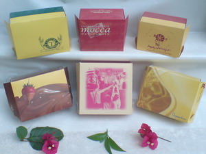 ������ ���������������